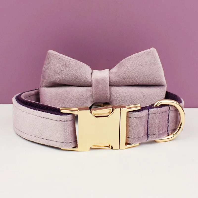 Velvet Collar Free Engrave Dog Collar Leash Dog Collars