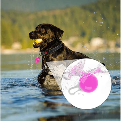 Usb Charging Glowing Dog Collar With Pendant Detachable