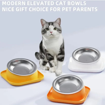 Tilted Cat Bowl Stainless Steel Neck Protection Anti Slip
