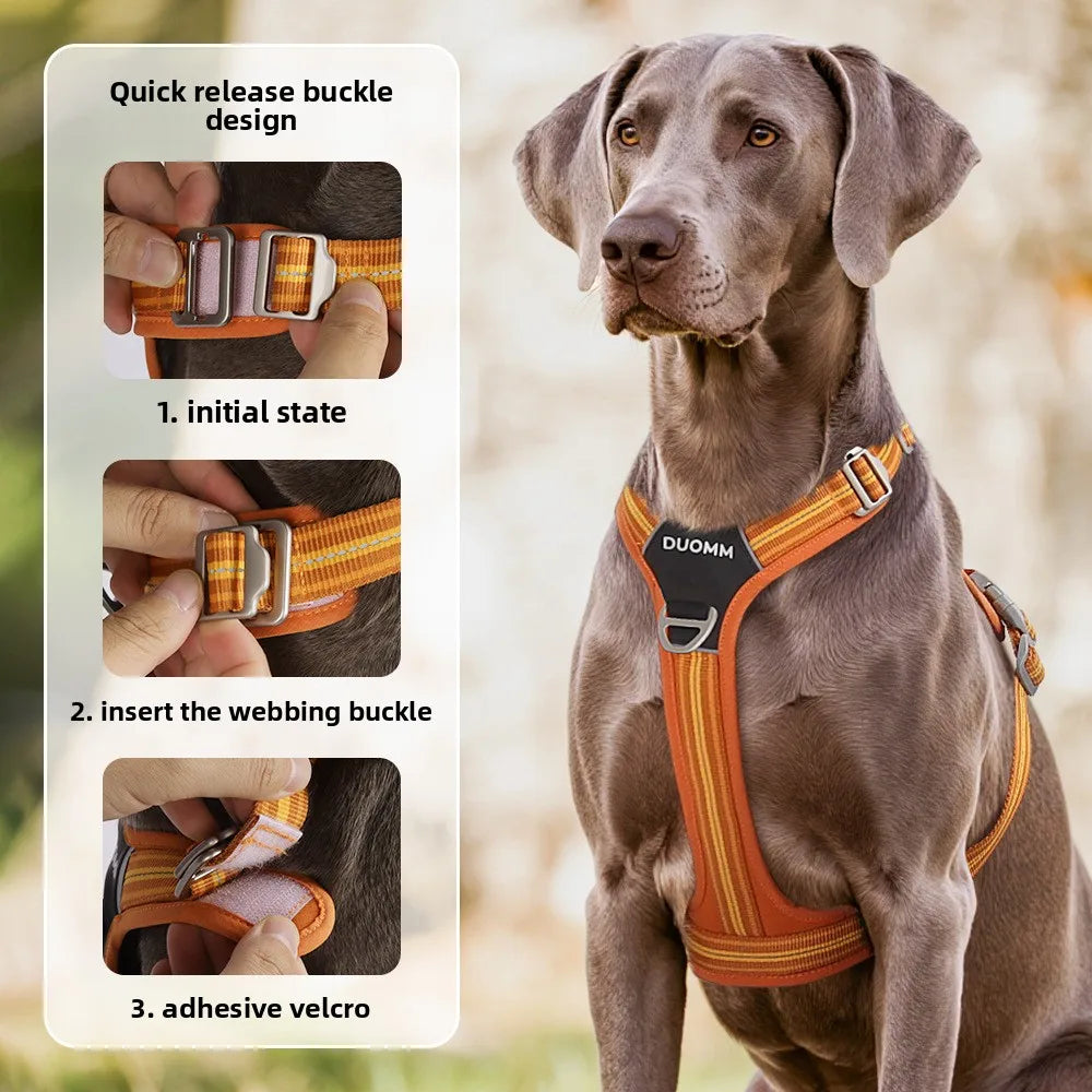 Car Safety Dog Harness with Dual Handle Quick Release