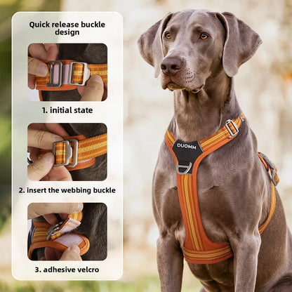 Car Safety Dog Harness with Dual Handle Quick Release