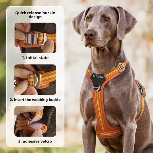 Car Safety Dog Harness with Dual Handle Quick Release