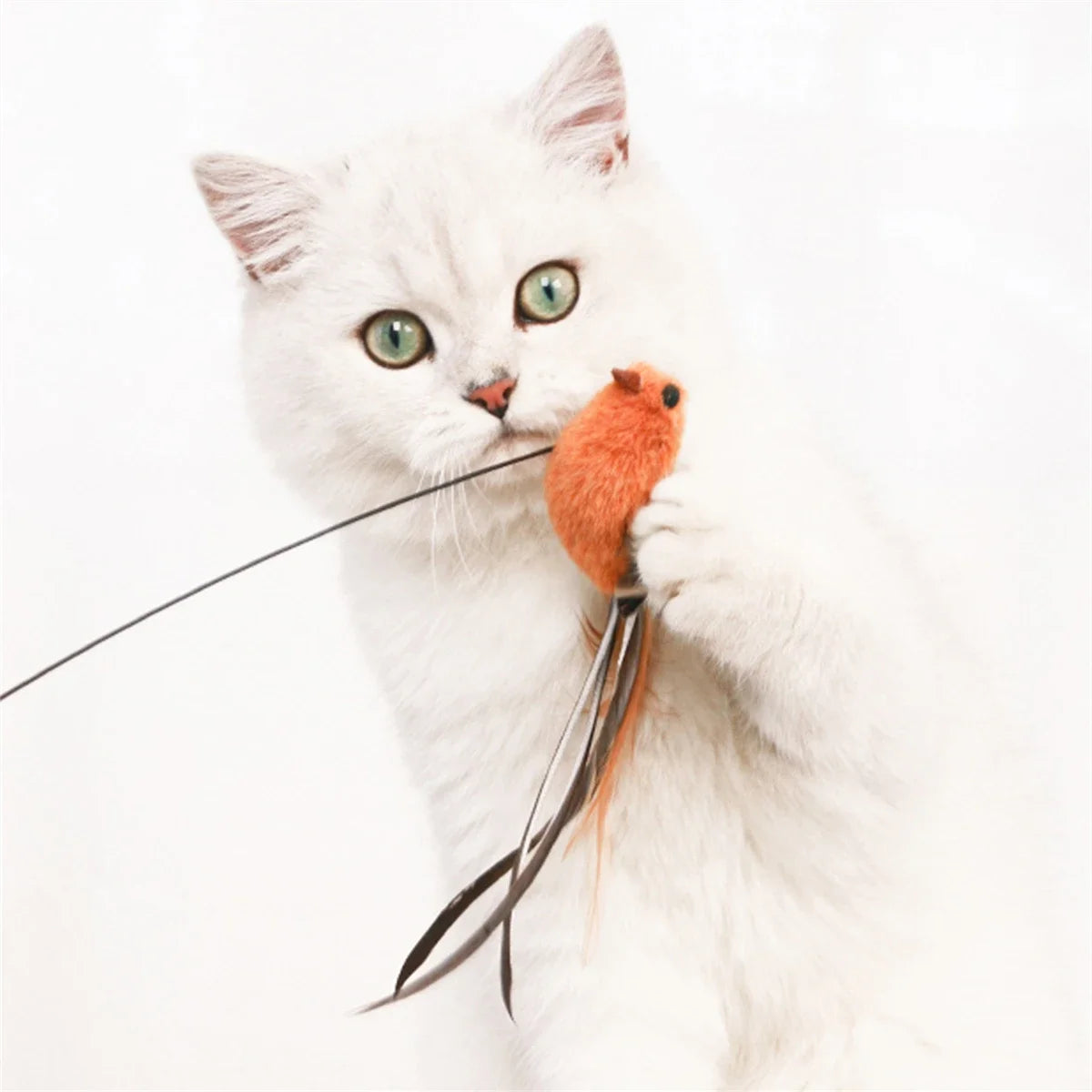 Simulated Bird Cat Toys Upgraded Epoxy Sucker Steel Wire