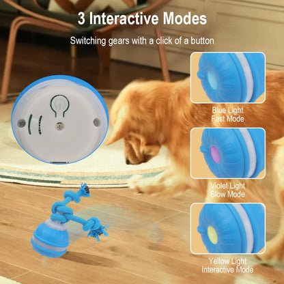 Cat Dog Interactive Ball Toy Automatic Rolling Ball