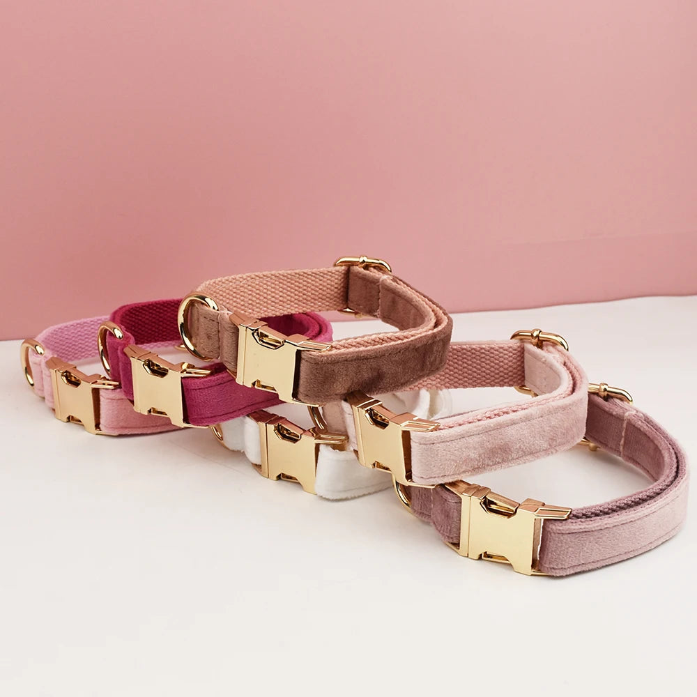 Velvet Collar Free Engrave Dog Collar Leash Dog Collars