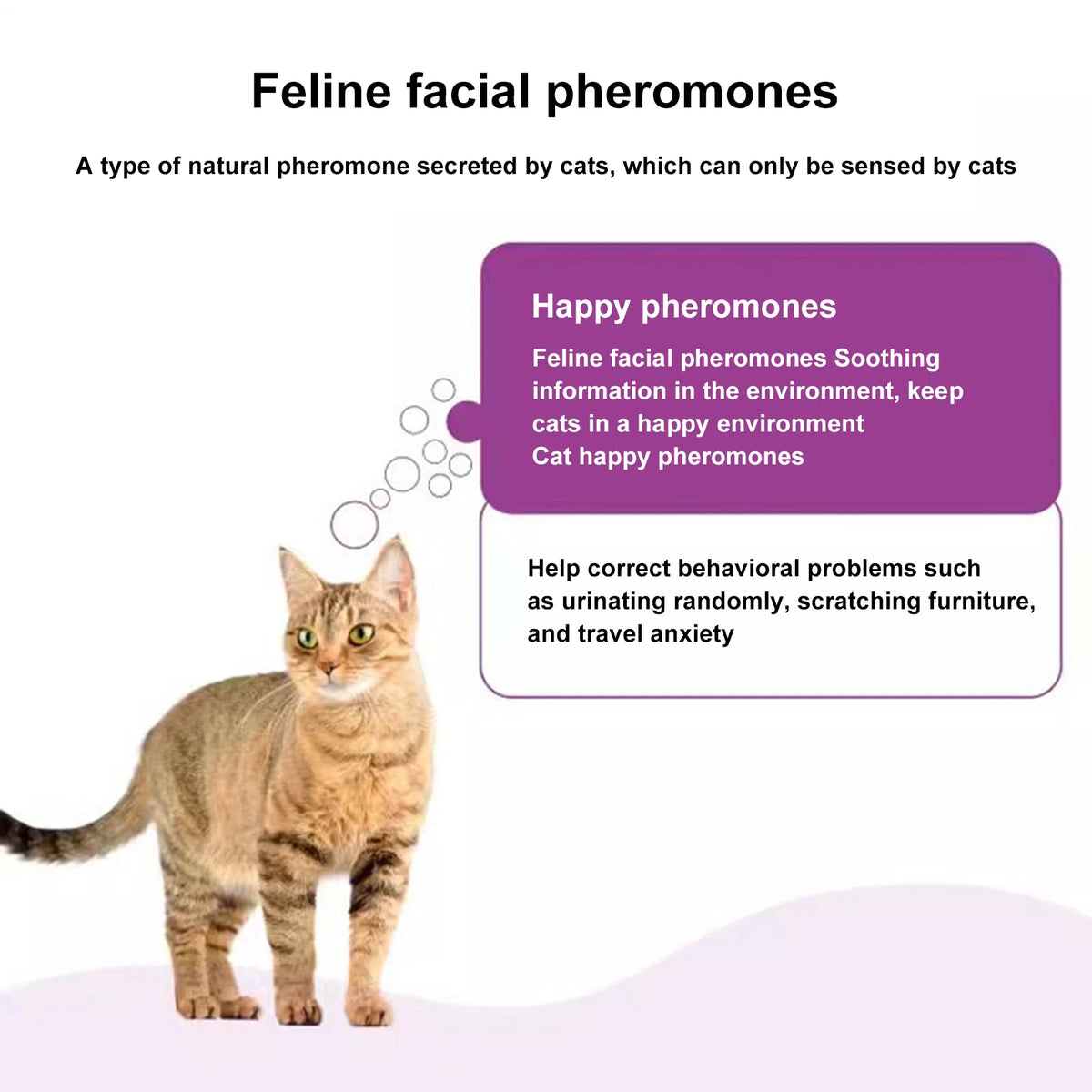 Pheromone Diffuser To Calm Cats Calming Pheromone Diffuser