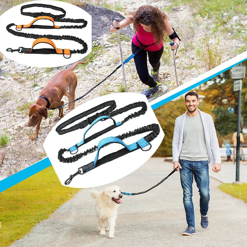 Double elastic reflective running leash portable