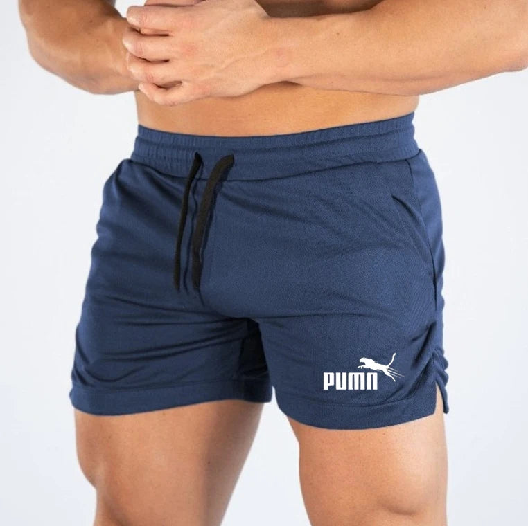 Summer Mesh Quick Drying Shorts Men's Sports