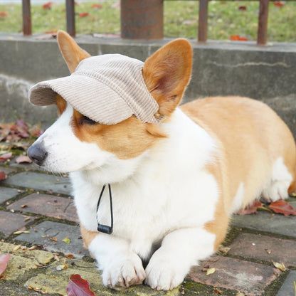 Fashion Big Dog Baseball Cap Durable Corduroy Sun Hat