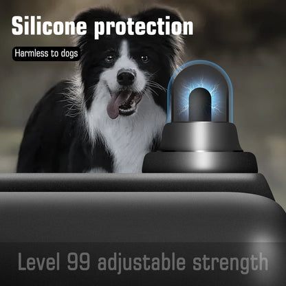 Dog Training Collar with Remote IP67 Waterproof