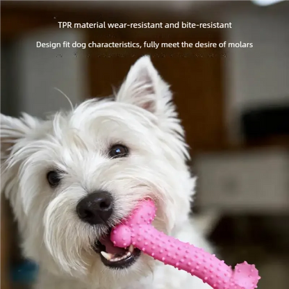 Pet Toys for Small Dogs Rubber Resistance To Bite Dog Toy