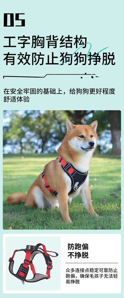 Automatic retractable dog leash with chest and back strap