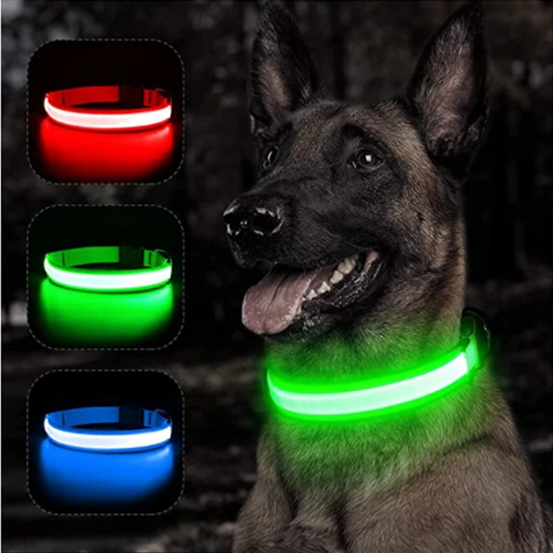 Usb Charging Glowing Dog Collar With Pendant Detachable