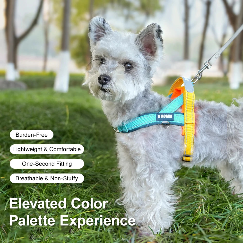 Dog Harness No Pull T-Shape Breathable Spring Summer
