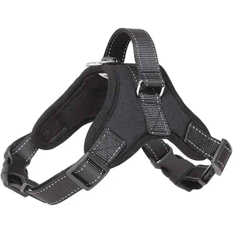 Adjustable Dog Harness Leash Set Chest Strap