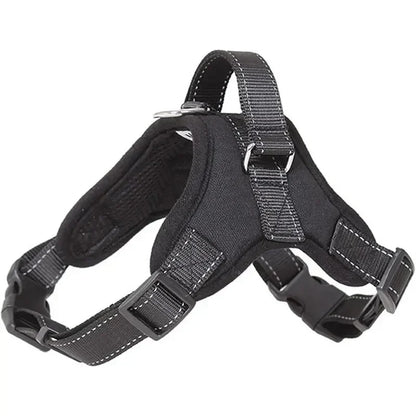 Adjustable Dog Harness Leash Set Chest Strap