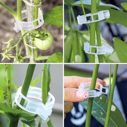 Plant Support Clips Reusable Plastic Connects Vine