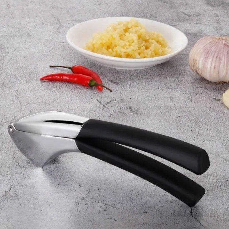 New stainless steel kitchen garlic puree