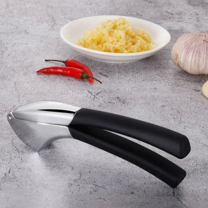 New stainless steel kitchen garlic puree