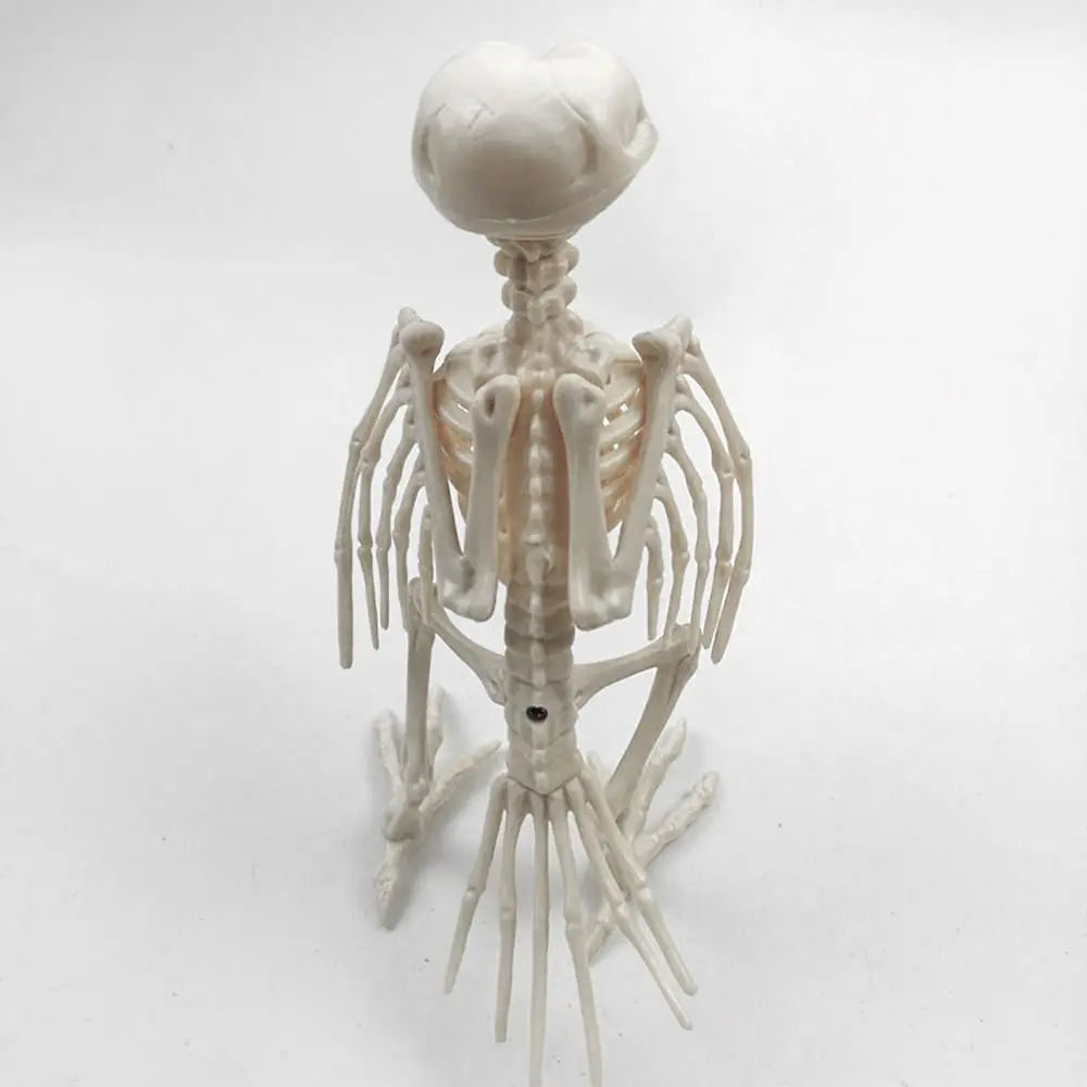 Crazy Bone Skeleton Raven Plastic Animal Skeleton Bones