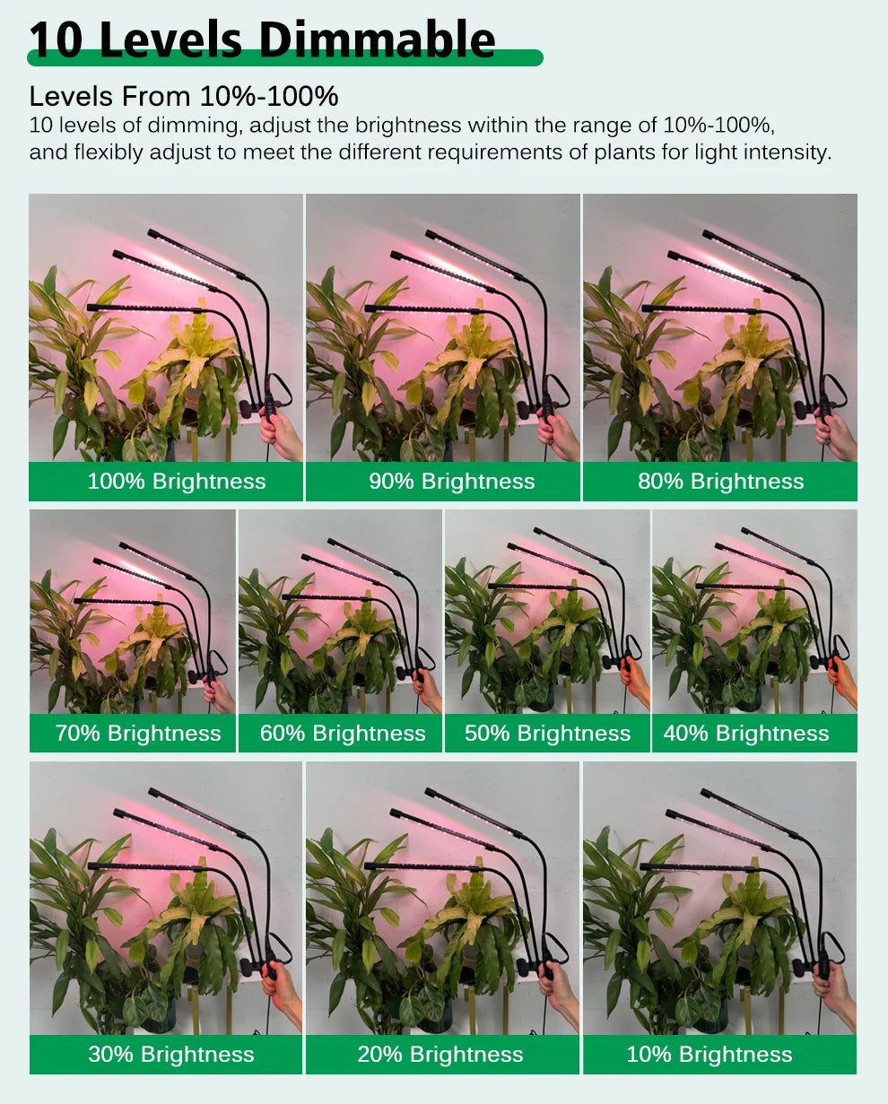 Clip-On LED Grow Light with Gooseneck