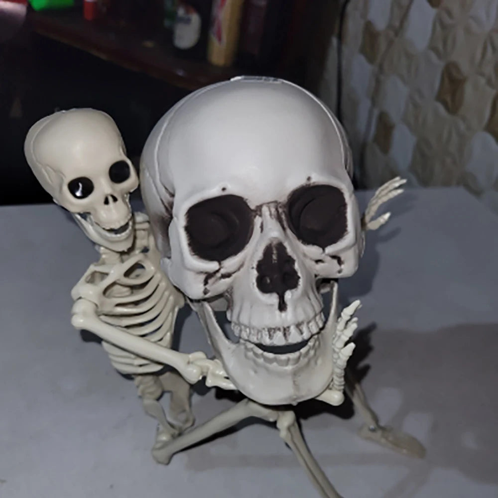 Halloween Skull Decoration,Realistic Plastic Skull,Head Skeleton