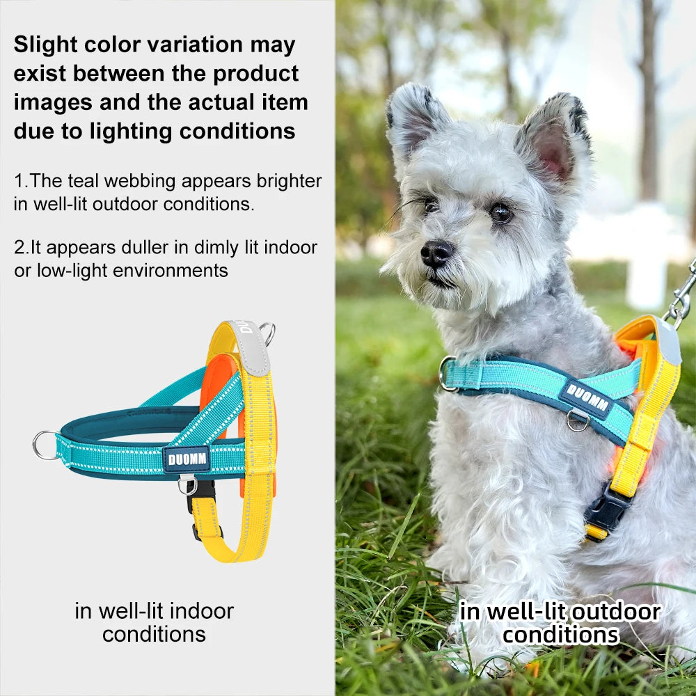 Dog Harness No Pull T-Shape Breathable Spring Summer