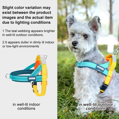 Dog Harness No Pull T-Shape Breathable Spring Summer