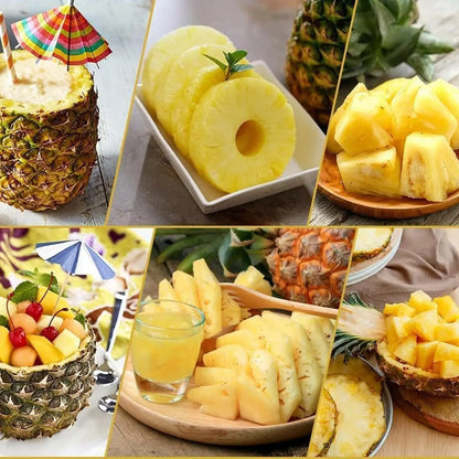 Pineapple Slicer Peeler Peeler Stainless Steel