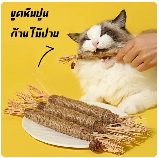 Popular Wood Polygonum teasing cat toy snacks self-hi