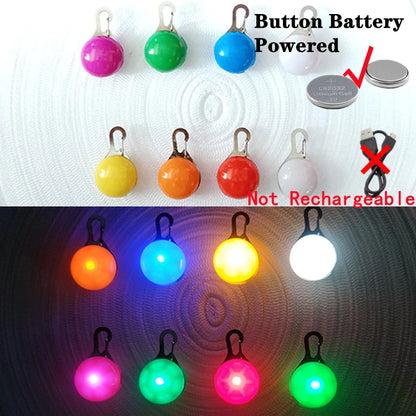 Usb Charging Glowing Dog Collar With Pendant Detachable