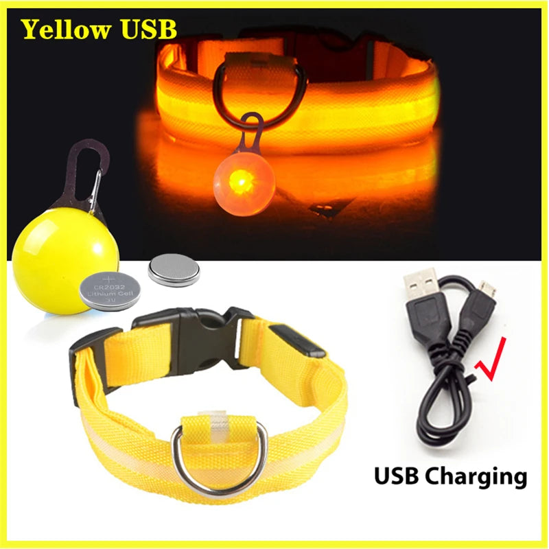 Usb Charging Glowing Dog Collar With Pendant Detachable