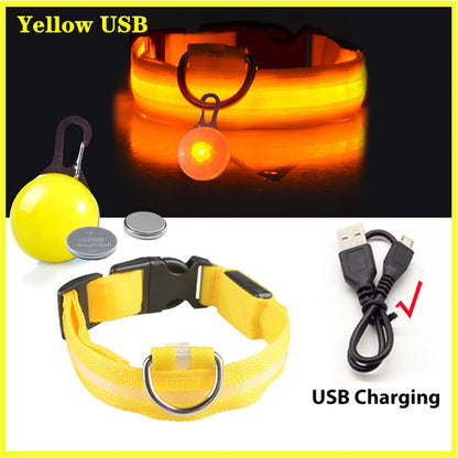 Usb Charging Glowing Dog Collar With Pendant Detachable