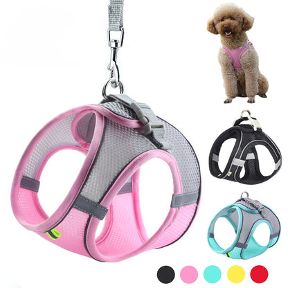 Puppy Harness Set Dog Accessories Adjustable Harness