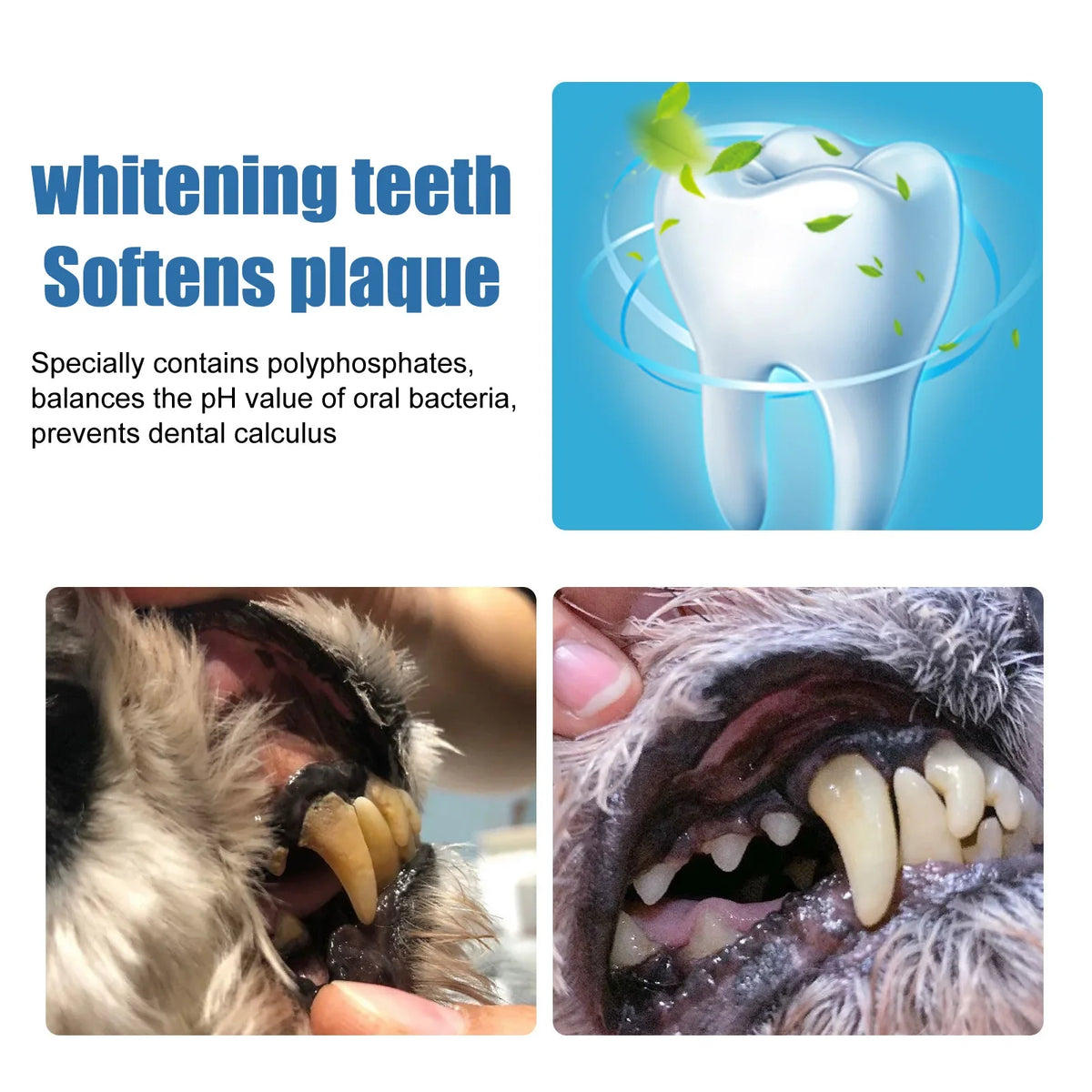 Pet Oral Spray Dental Dirt Remover Cat Teeth Cleaning Breath Freshener