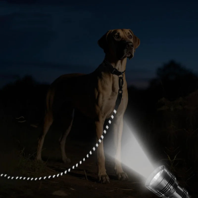 Soft Padded Reflective Long Dog Leash in Multiple Lengths