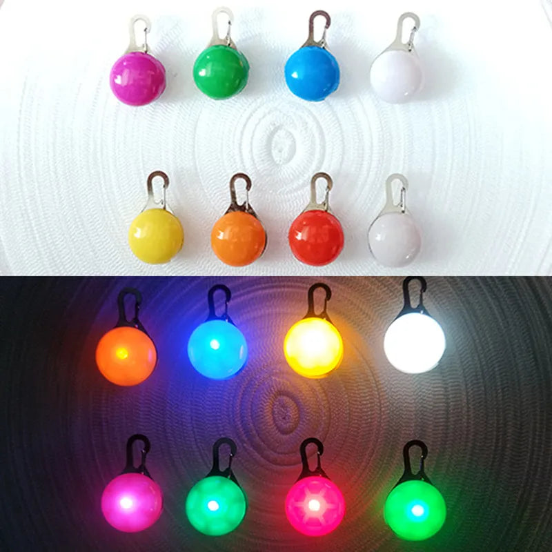 Usb Charging Glowing Dog Collar With Pendant Detachable