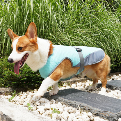 Cooling Vest - Breathable Dog Vest for Hot Summer Days