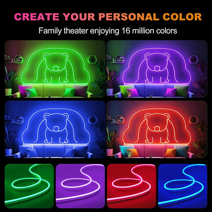 5V USB RGB LED Neon Strip Light 24key Remote Control