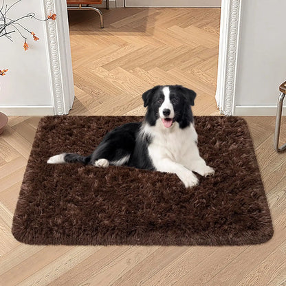 Silk And Wool Carpets Are Soft And Do Not Shed Easily