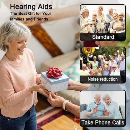 Hearing Aid Rechargeable Digital Hearing Aids