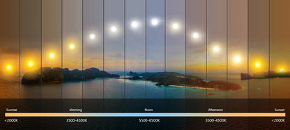 OCONA Ra97+ High CRI COB LED Strip Light  Dimmable