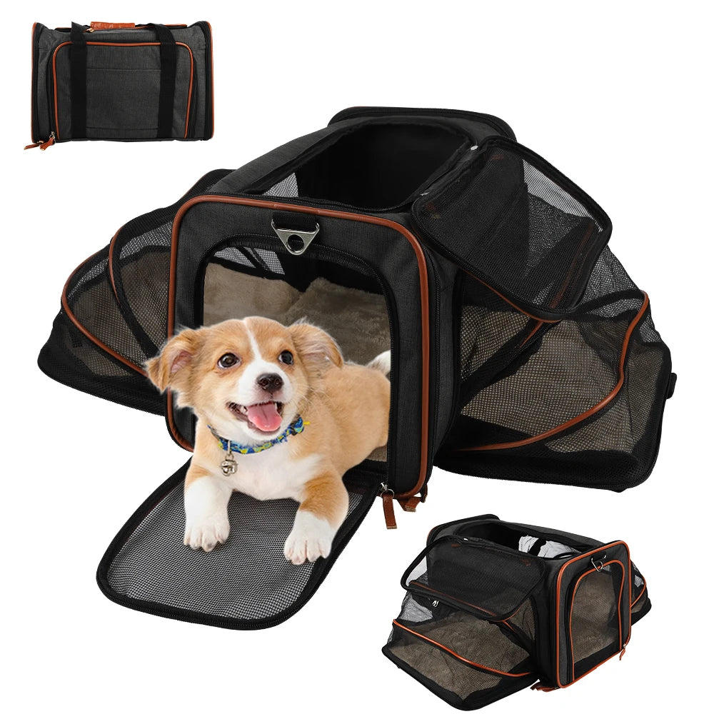 Double-sided expandable cat/dog carrier airline carry-on