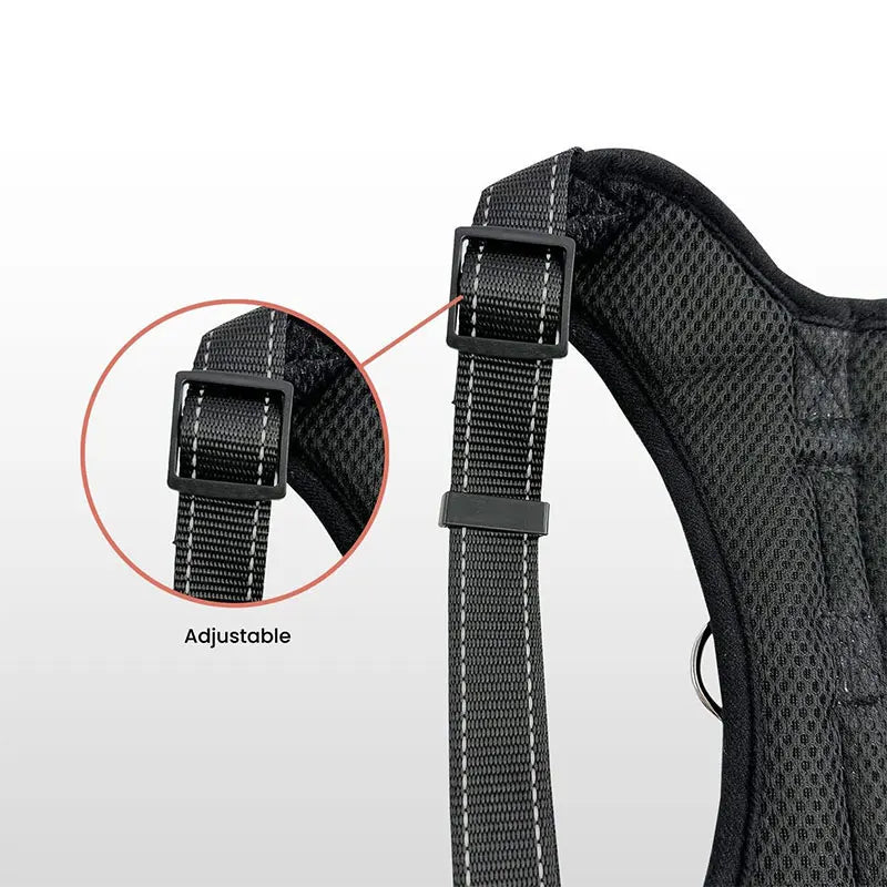 Adjustable Dog Harness Leash Set Chest Strap