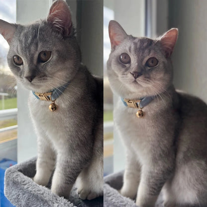 Stylish Adjustable Cat Collar with Bowknot
