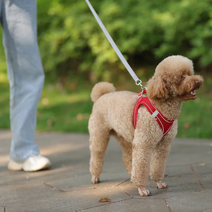 Puppy Harness Set Dog Accessories Adjustable Harness