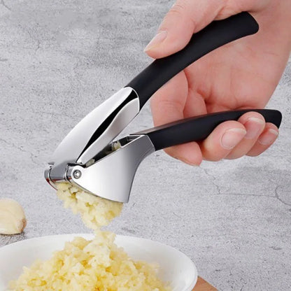 New stainless steel kitchen garlic puree