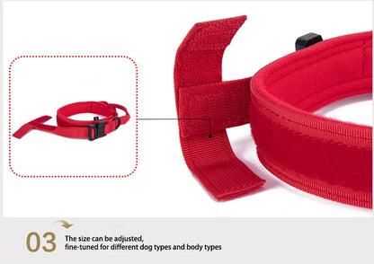 Pet Dog Collar Leash Set Nylon Material Durable Dog Collar