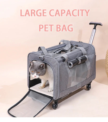 Pet Carrier with Wheels for Dogs Rolling Pet Carrier