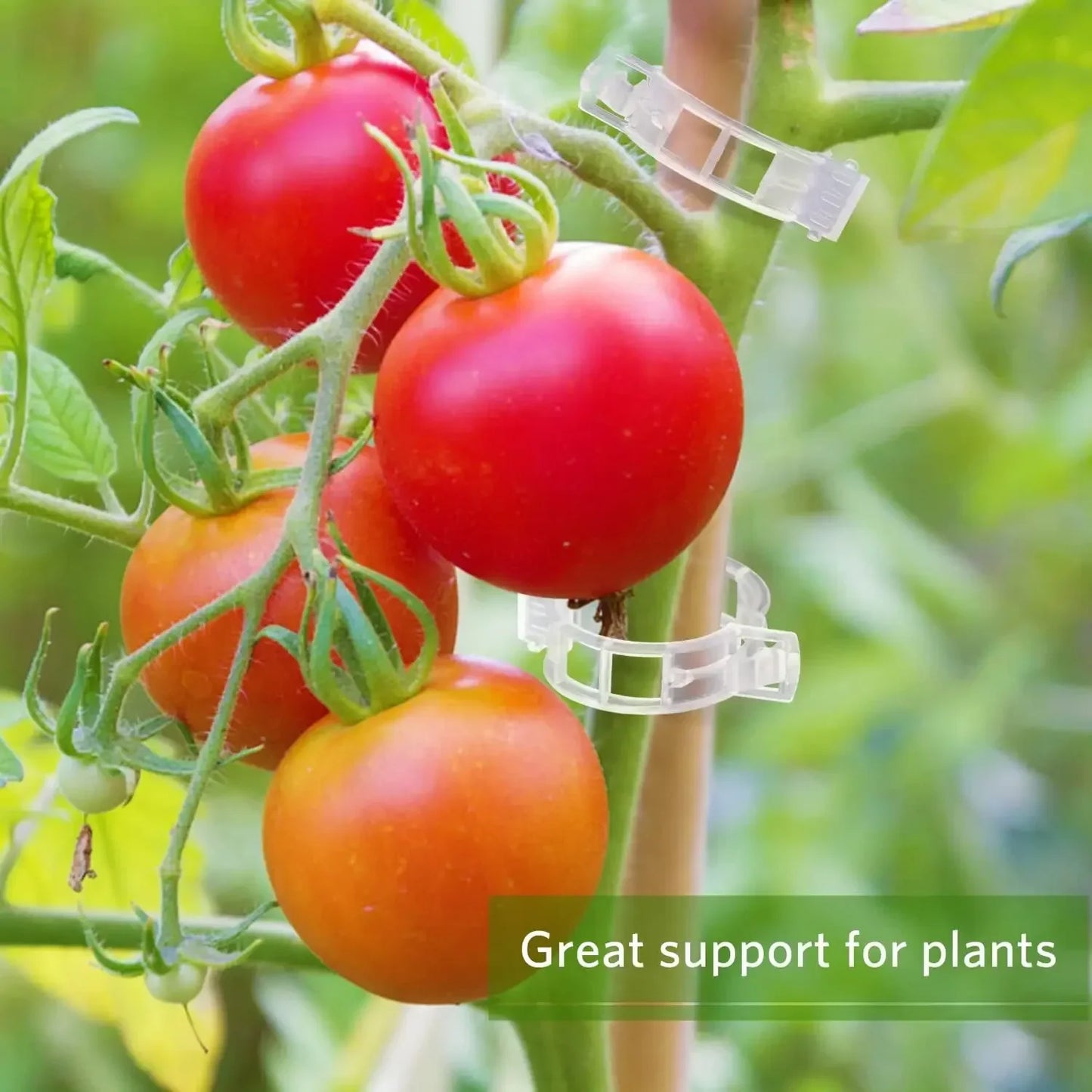 Plant Support Clips Reusable Plastic Connects Vine